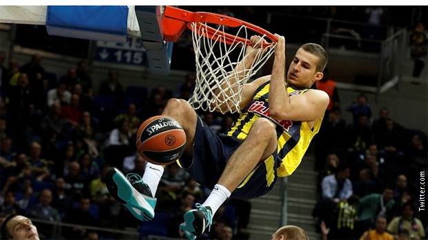 Bjelica