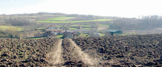 MEDVEDNJAK
