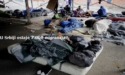 migranti22222