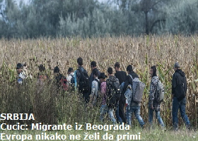 migranti 5