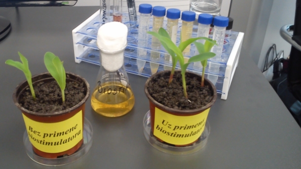 biostimulator-biljke