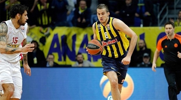 bjelica2
