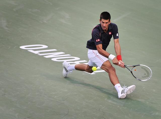 djokovic toronto