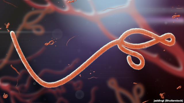ebola