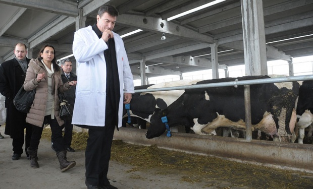 eko-mleko-glavna eko-mleko-glavna