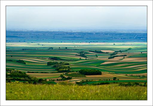 fruska gora