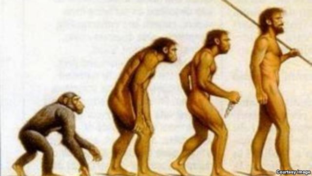 homo s