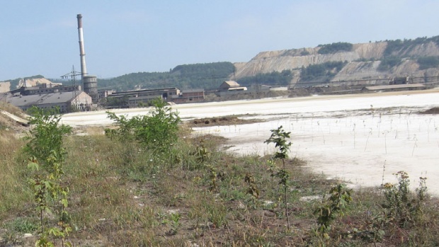 jalovista