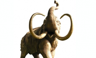 mamut7