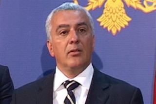 mandic7