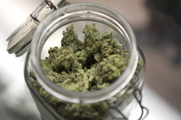 medicina-marihuana