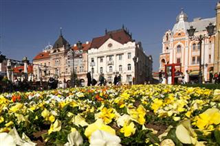 muzej novi sad