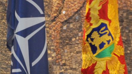 nato cg