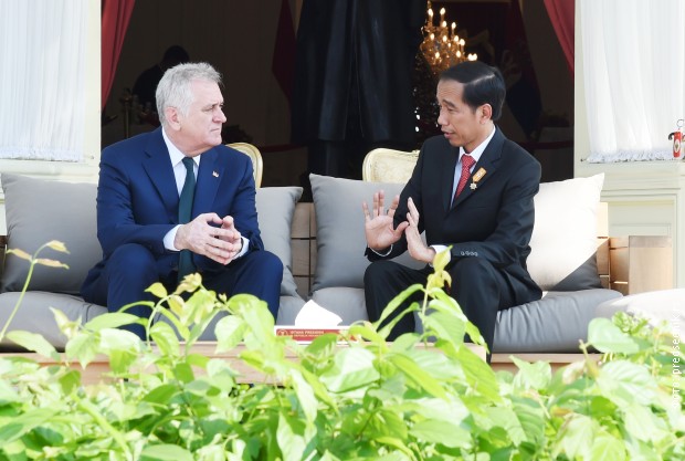 nikolic indonezija 2
