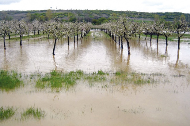 poplave 1