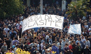 reg-cg-standard-protesti_
