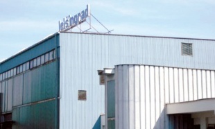 reg-jelsingrad_