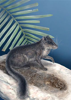 rep-iskopavanje-MALA