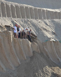 rep-iskopavanje-mamut