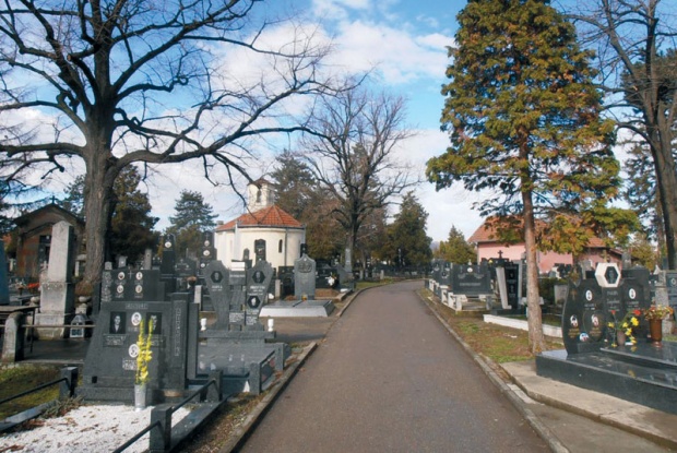 rep-krusevac-groblje