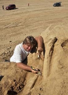 rep-o-iskopavanje-mamuta