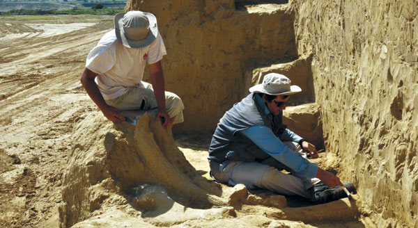 rep-viminacijum-DRUGA-MALA