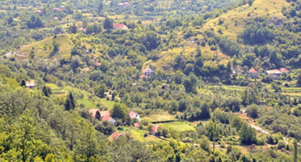 selo
