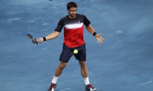 sp-tipsarevic_77