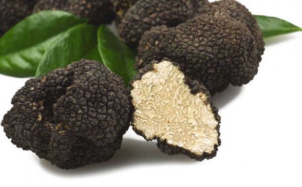 tartufi