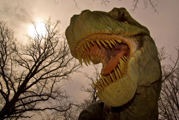 trex