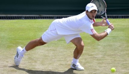 troicki  66