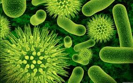 virus2